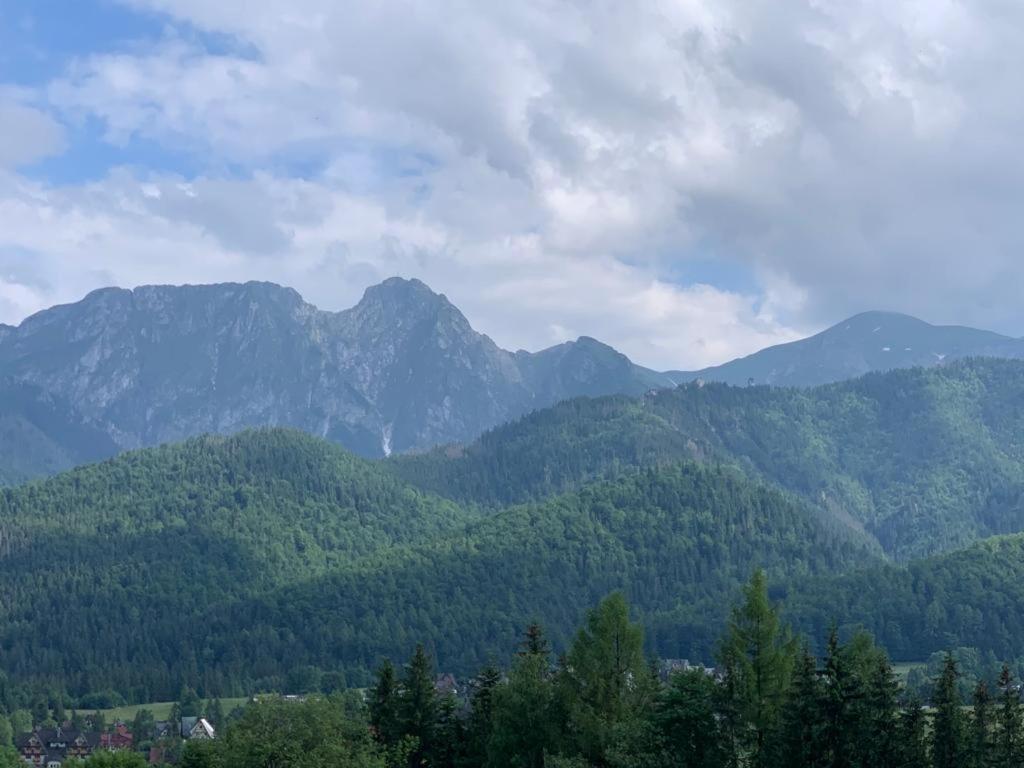 Apartament Butorowy Wierch Kościelisko Exteriör bild